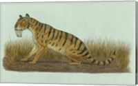 Thylacosmilus Atrox Fine Art Print