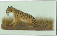 Thylacosmilus Atrox Fine Art Print