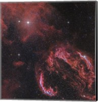 Veil Nebula in the Constellation Cygnus Fine Art Print