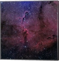 The Elephant Trunk Nebula Fine Art Print