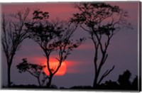 Amazonia Sunset Fine Art Print