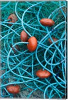 Dominica, Anse de Mai, fishing net Fine Art Print