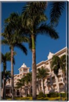 Palm tree, Riu Palace, Bavaro Beach, Higuey, Punta Cana, Dominican Republic Fine Art Print
