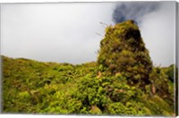 Rim of Summit Crater on Mt Pelee, Martinique, French Antilles Fine Art Print