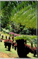 Tropical Plants at the Pitons du Carbet, Martinique, Caribbean Fine Art Print
