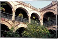 Balcony with Flowers and Trees, Puerto Rico Fine Art Print