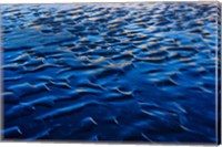 Waves patterns, Waterton Lakes National Park, Alberta Fine Art Print