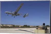An IAI Heron Unmanned Aerial Vehicle takes off the runway Fine Art Print