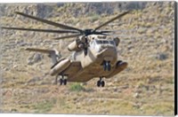 A CH-53 Yasur 2000 of the Israeli Air Force landing in the field Fine Art Print