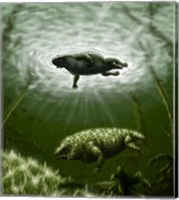 Scutosaurus karpinskii in prehistoric waters Fine Art Print