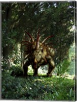 Styracosaurus in a forest Fine Art Print