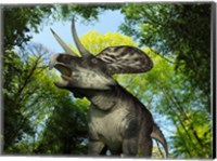 A Zuniceratops wanders a Cretaceous forest Fine Art Print