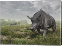 Brontotherium wander the lush late Eocene landscape Fine Art Print