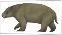Diprotodon, the Largest know Marsupial Fine Art Print