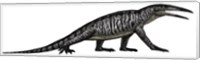 Teraterpeton, an Archosauromorph from the Late Triassic Fine Art Print
