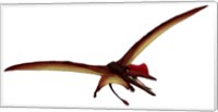 Darwinopterus, a Pterosaur from the Jurassic Period Fine Art Print