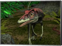 A Compsognathus wanders a Late Jurassic Forest Fine Art Print