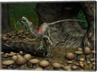 A Compsognathus prepares to swallow a small lizard Fine Art Print