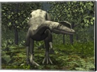 A Dilophosaurus Amidst Ginkgo Trees Fine Art Print