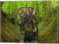A Nedoceratops Wanders a Cretaceous Forest Fine Art Print