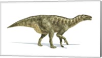 Iguanodon Dinosaur on White Background Fine Art Print