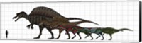 Spinosauridae Size chart Fine Art Print