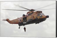 A German WS-1 Sea King during a Fast-roping Exercise Fine Art Print
