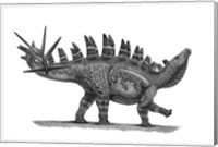 Pencil Drawing of Chungkingosaurus Jiangbeiensis Fine Art Print