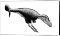 Black Ink Drawing of Gorgosaurus Libratus Fine Art Print