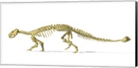 3D Rendering of an Ankylosaurus Dinosaur Skeleton Fine Art Print