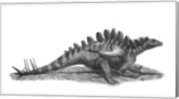 Pencil Drawing of Gigantspinosaurus Sichuanensis Fine Art Print