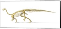 3D Rendering of a Plateosaurus Fine Art Print