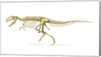 3D Rendering of a Giganotosaurus Dinosaur Skeleton Fine Art Print