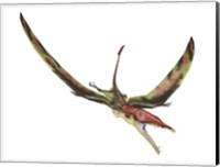 Eudimorphodon Flying Prehistoric Reptile Fine Art Print