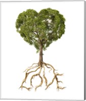 Tree with Foliage in the Shape of a Heart Fine Art Print