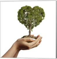 Woman's Hands holding Soil with a Tree Heart Shaped Fine Art Print