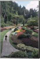 Sunken Garden at Butchart Gardens, Vancouver Island, British Columbia, Canada Fine Art Print