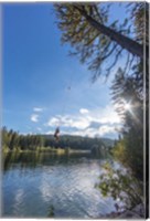 Rope swinging at Champion Lakes Provincial Park, BC, Canada Fine Art Print