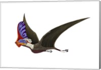 Tapejara, a Genus of Brazilian Pterosaur from the Cretaceous Period Fine Art Print