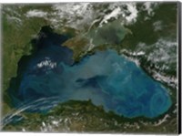 Phytoplankton Bloom in the Black Sea Fine Art Print
