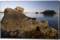 Keith Island, Pacific Rim, British Columbia Fine Art Print