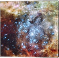 Merging Clusters in 30 Doradus (Non-annotated) Fine Art Print