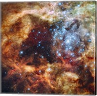 Hubble's Festive View of a Grand Star-Forming Region Fine Art Print