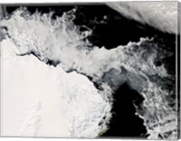 Sea Ice in the Southern Ocean Fine Art Print