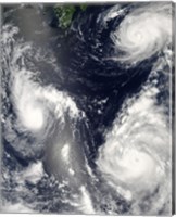 Three different Typhoons Spinning over the Western Pacific Ocean Fine Art Print