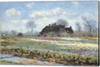 Tulip Fields at Sassenheim Fine Art Print
