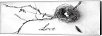 Nest and Branch II Love Fine Art Print