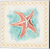 Coastal Mist Starfish Border Turquoise Fine Art Print