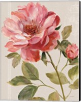 Harmonious Rose Linen Fine Art Print