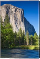 El Capitan and Merced River Yosemite NP, CA Fine Art Print